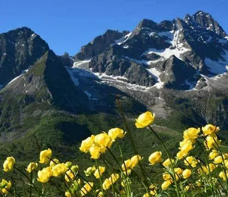 Calicanto Passo del Tonale
